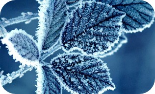 winter3